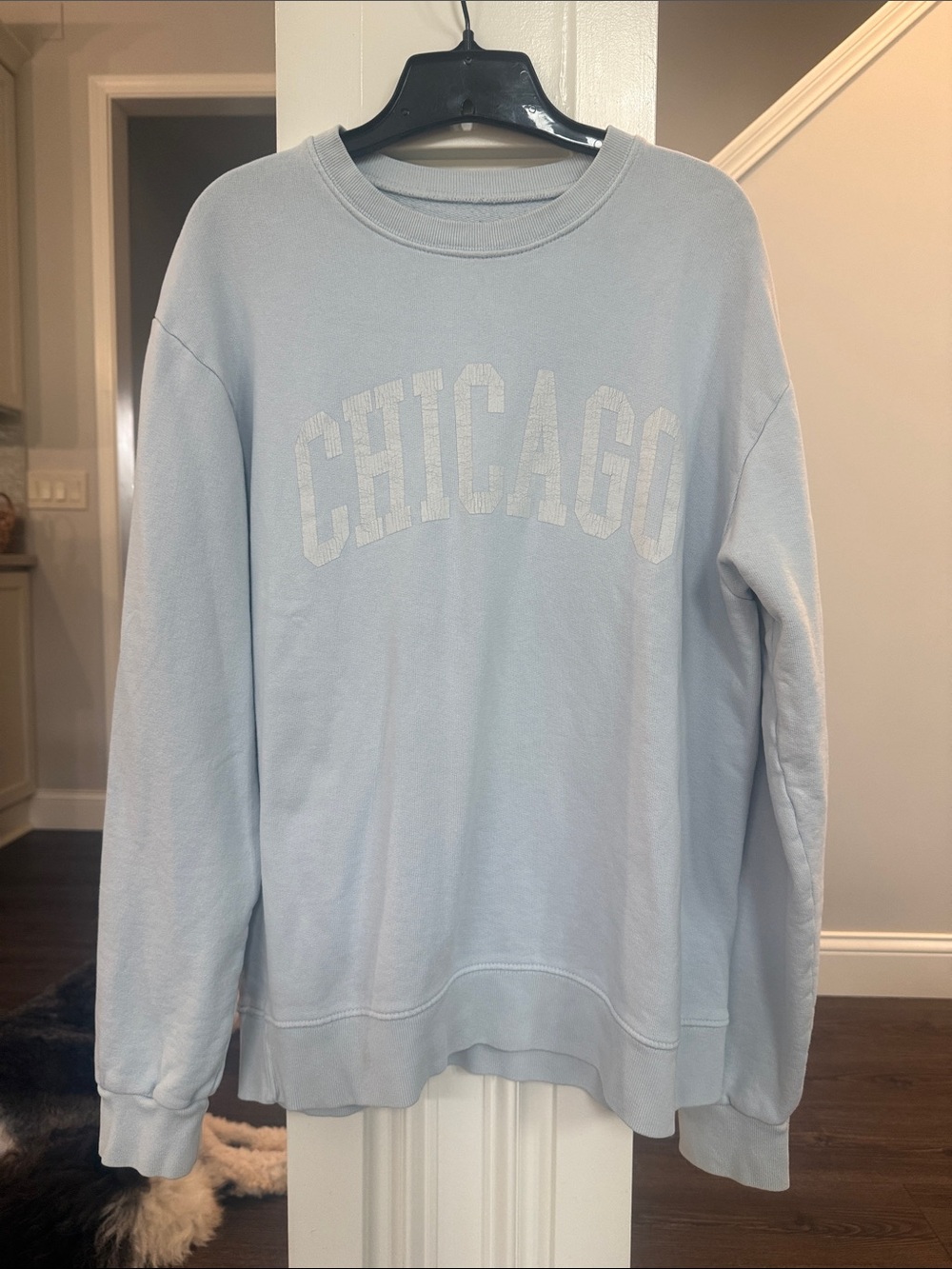 Brandy Melville John Galt Baby Blue White Chicago Graphic Crewneck
